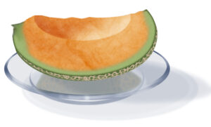 A melon created using Photoshop CS
